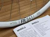 DT Swiss FR 1500 Limited Edition Vorderrad 29" silber / Classic LTD
