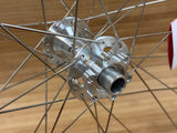 DT Swiss FR 1500 Limited Edition Vorderrad 29" silber / Classic LTD