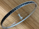 DT Swiss FR 1500 Limited Edition Vorderrad 29" silber / Classic LTD